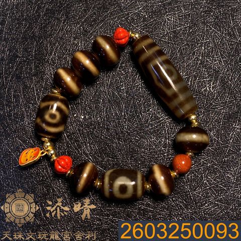 2603250093