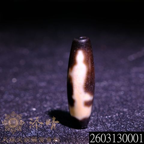 2603130001