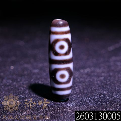 2603130005