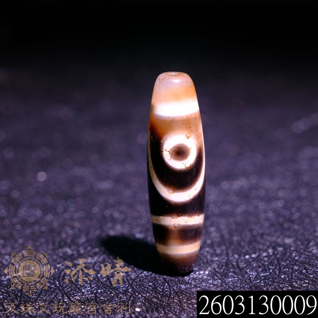 2603130009