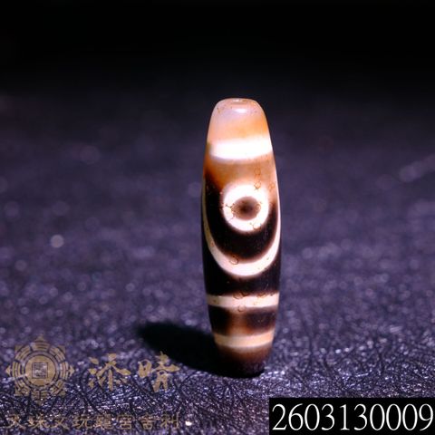 2603130009