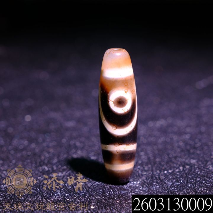 2603130009