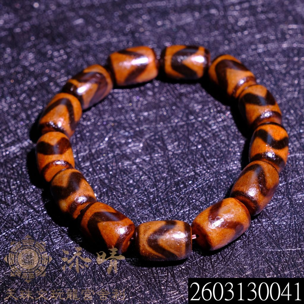 2603130041