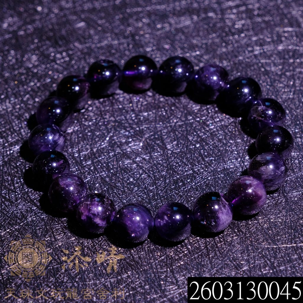 2603130045