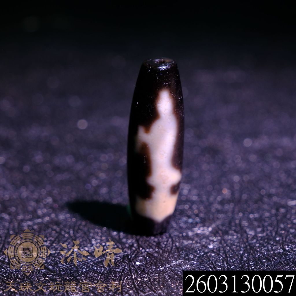2603130057