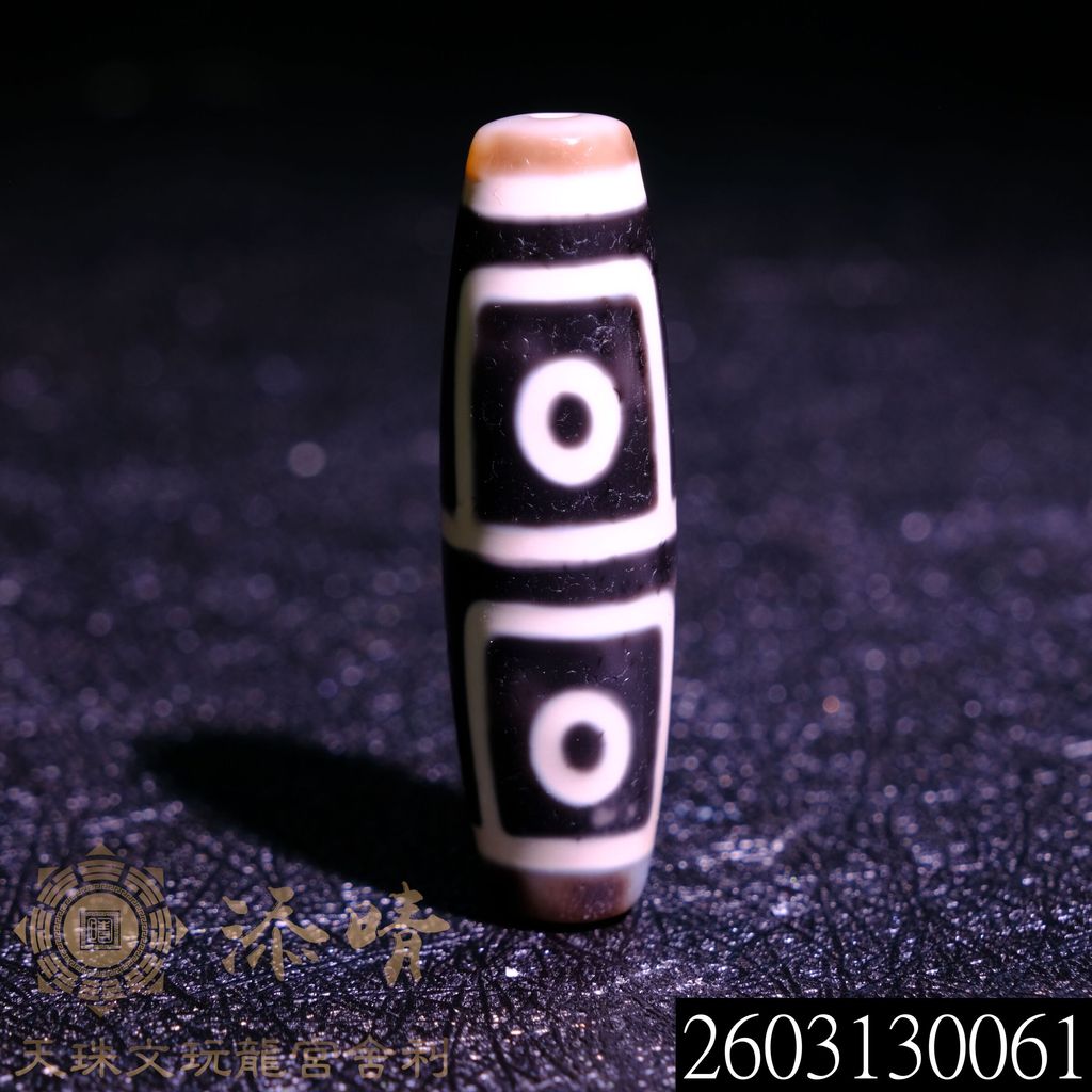 2603130061
