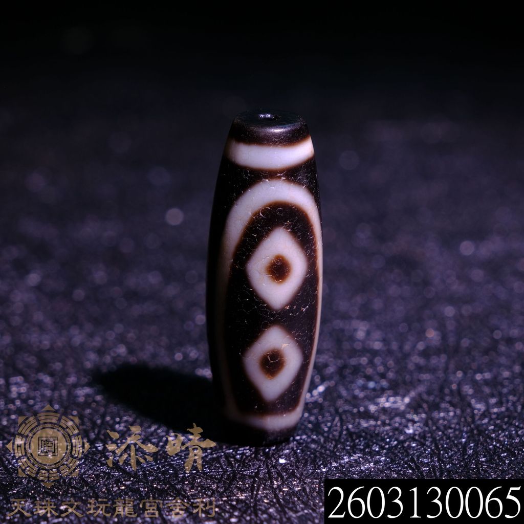 2603130065
