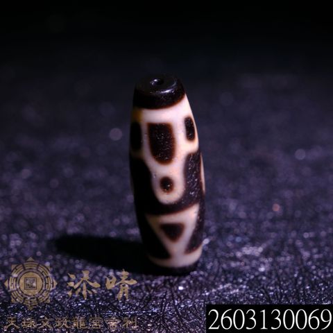 2603130069