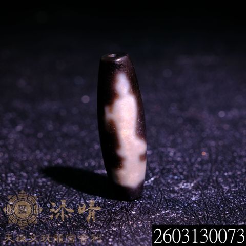2603130073