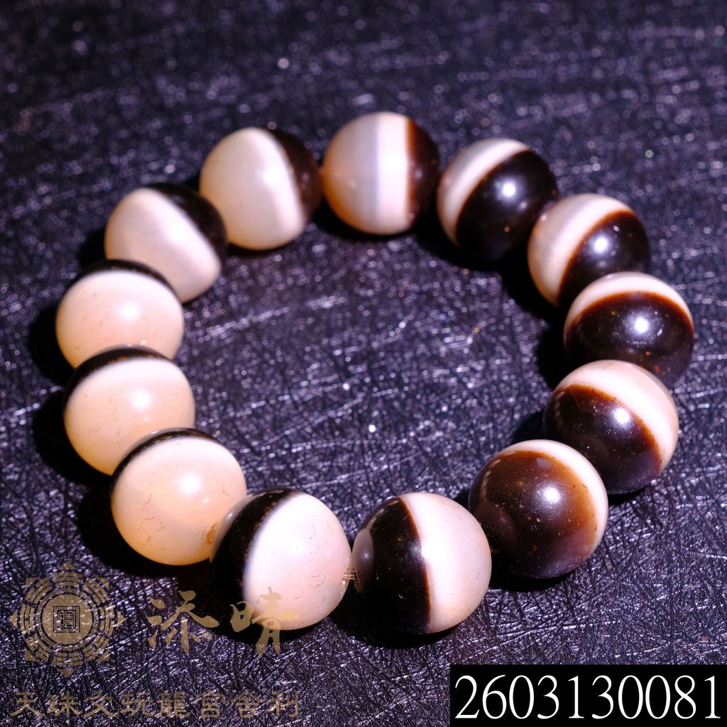 2603130081
