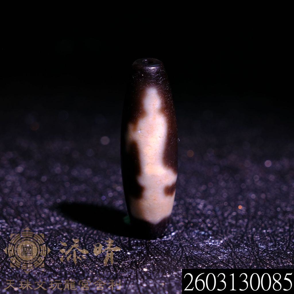 2603130085