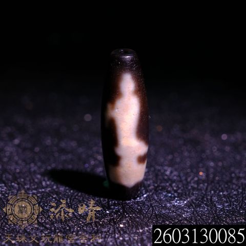 2603130085