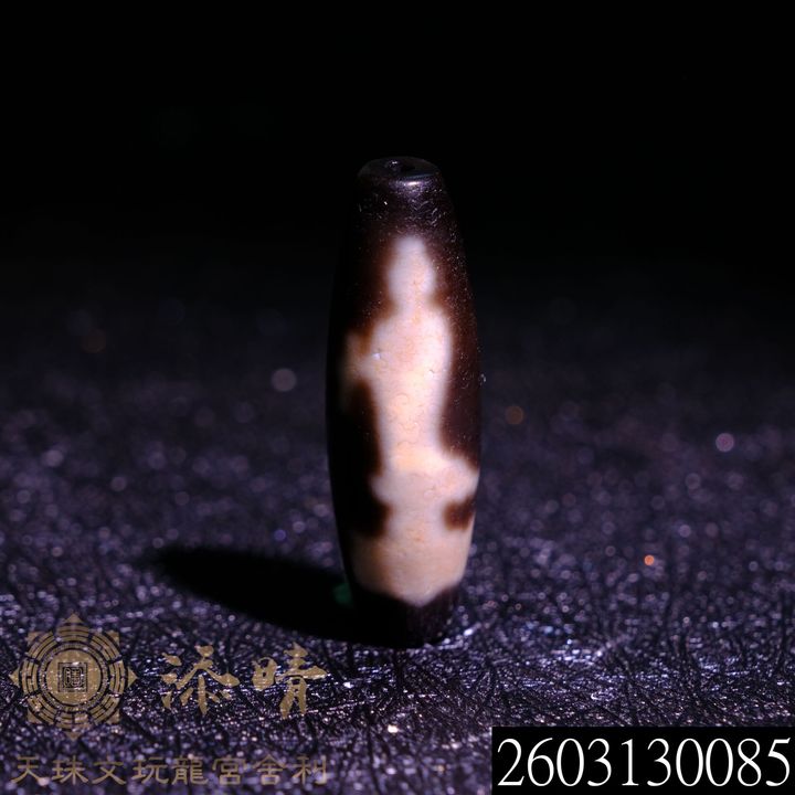 2603130085