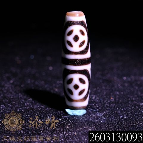 2603130093