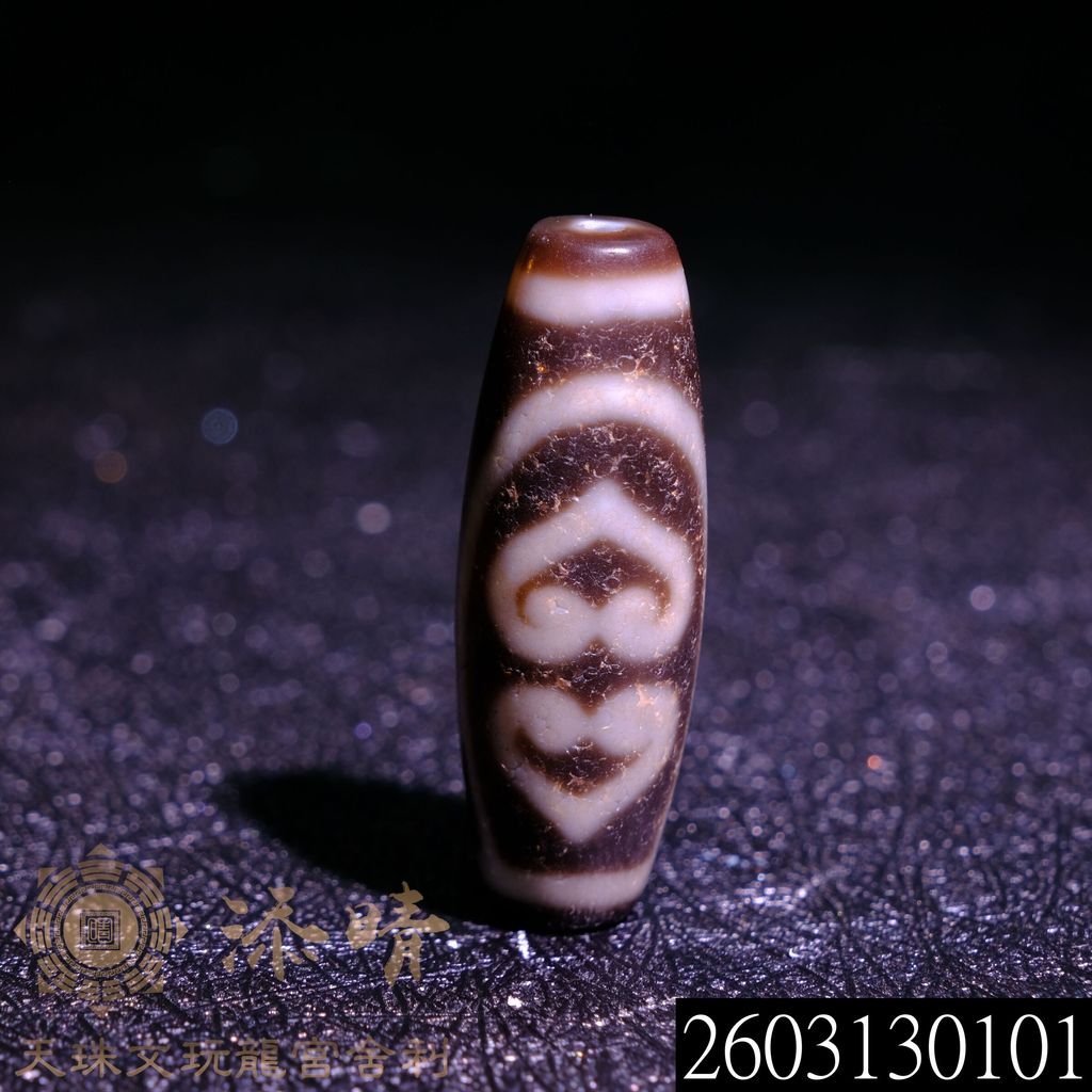 2603130101
