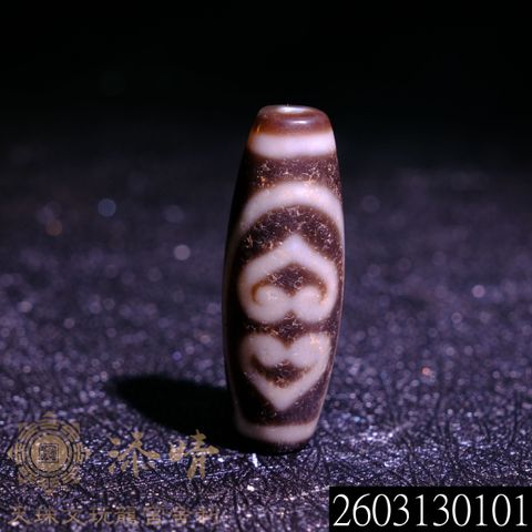 2603130101