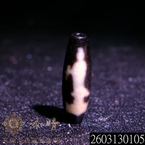 2603130105