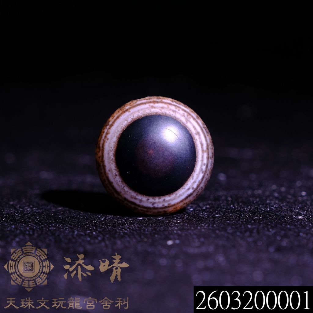 2603200001