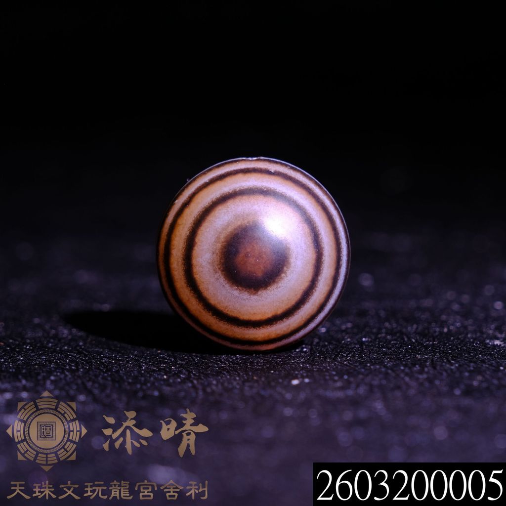 2603200005