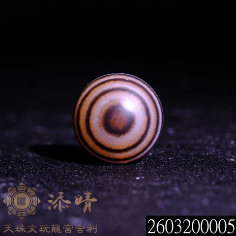 2603200005