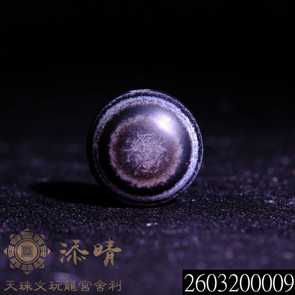 2603200009