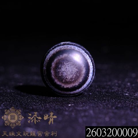 2603200009
