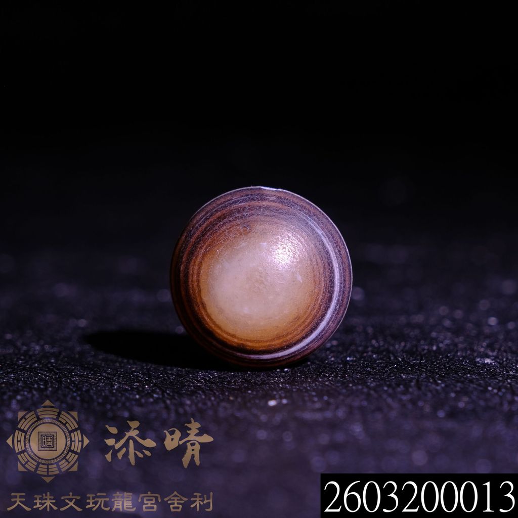 2603200013