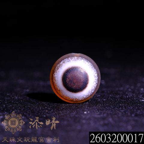 2603200017
