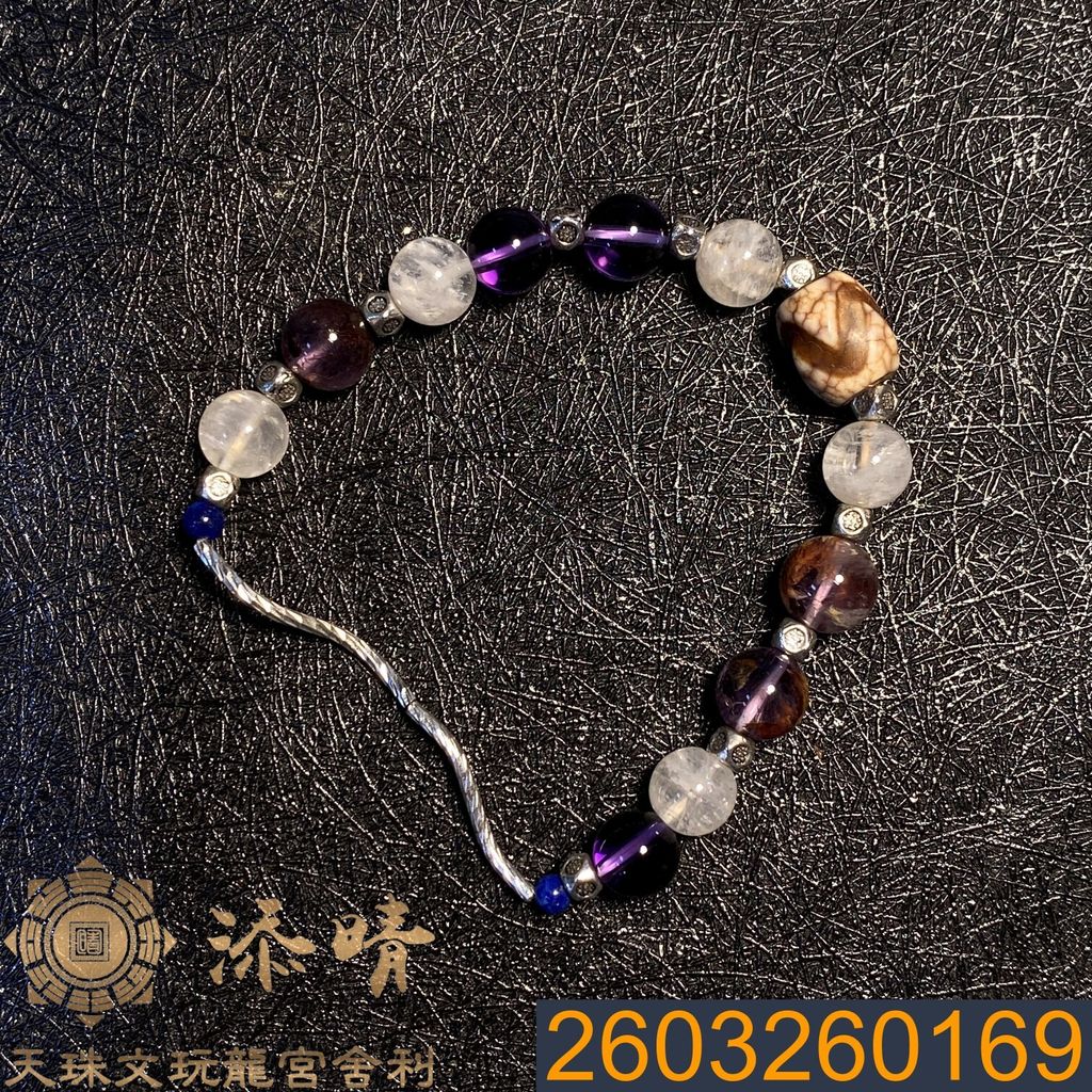 2603260169