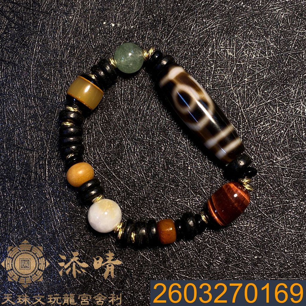 2603270169