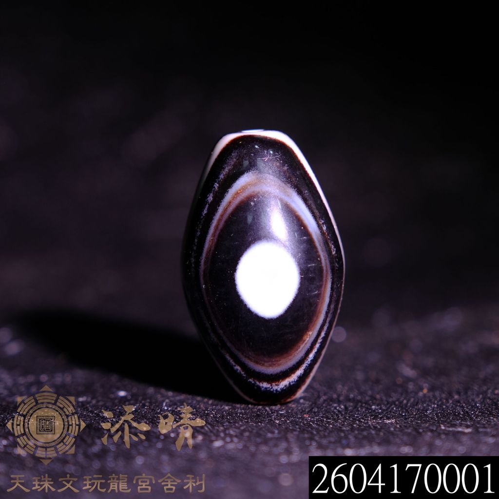 2604170001