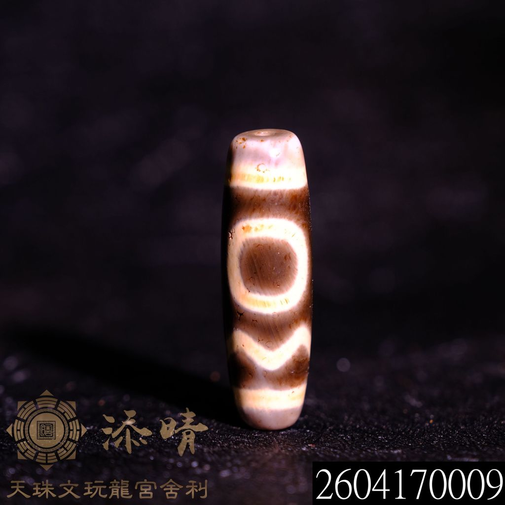 2604170009