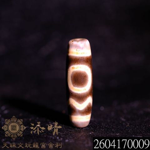 2604170009