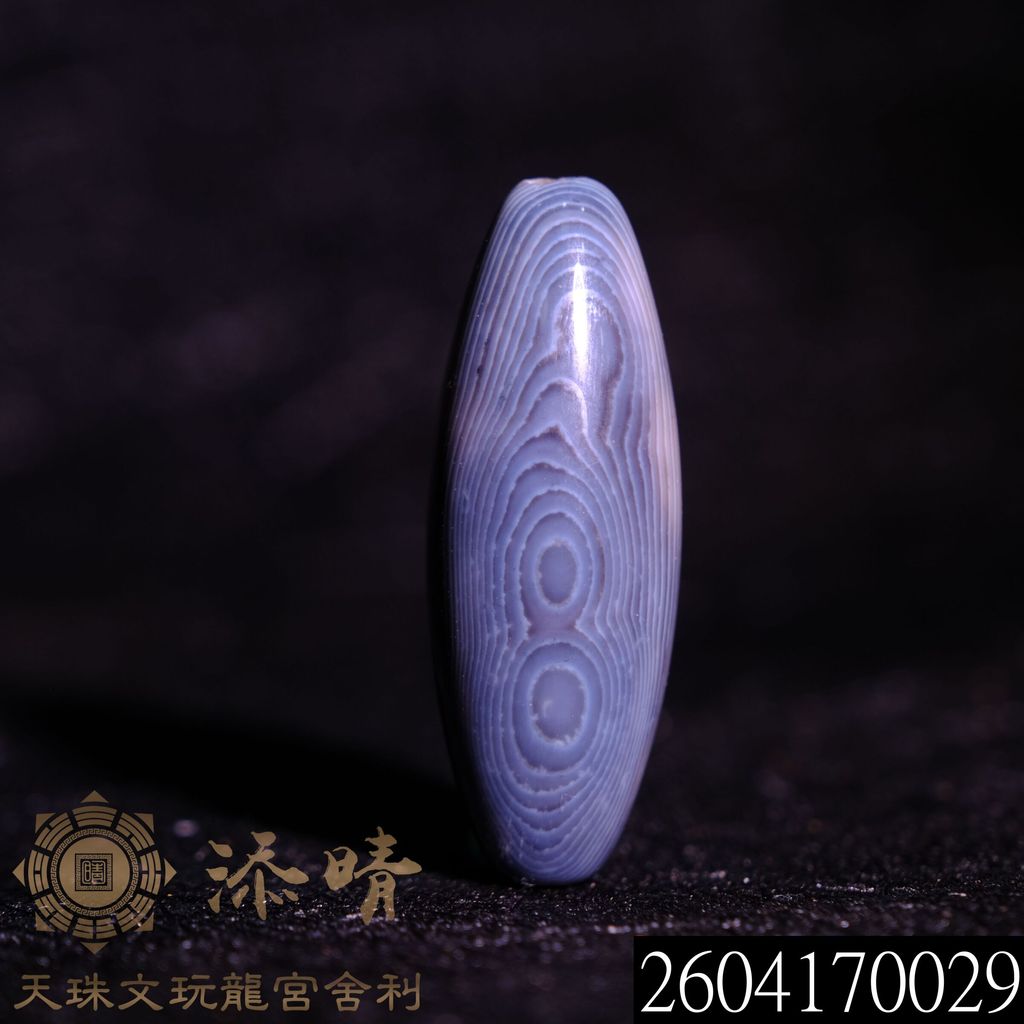 2604170029