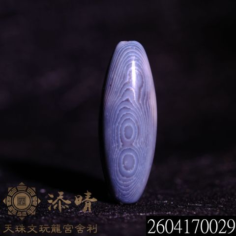 2604170029