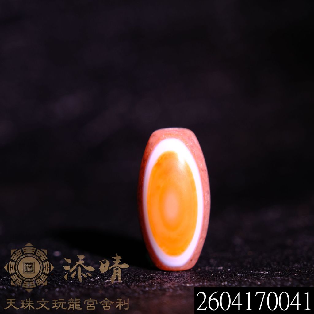 2604170041