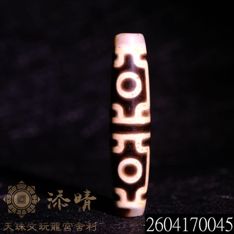 2604170045