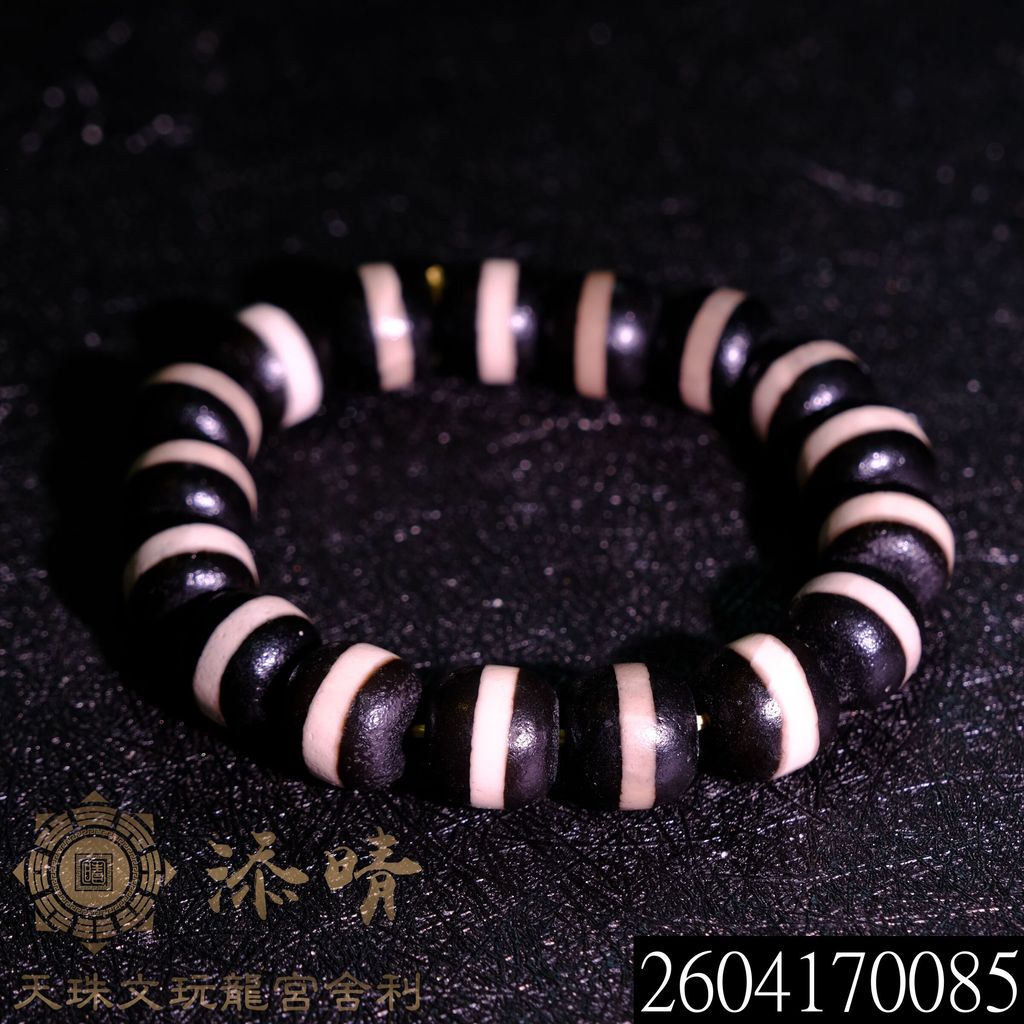 2604170085