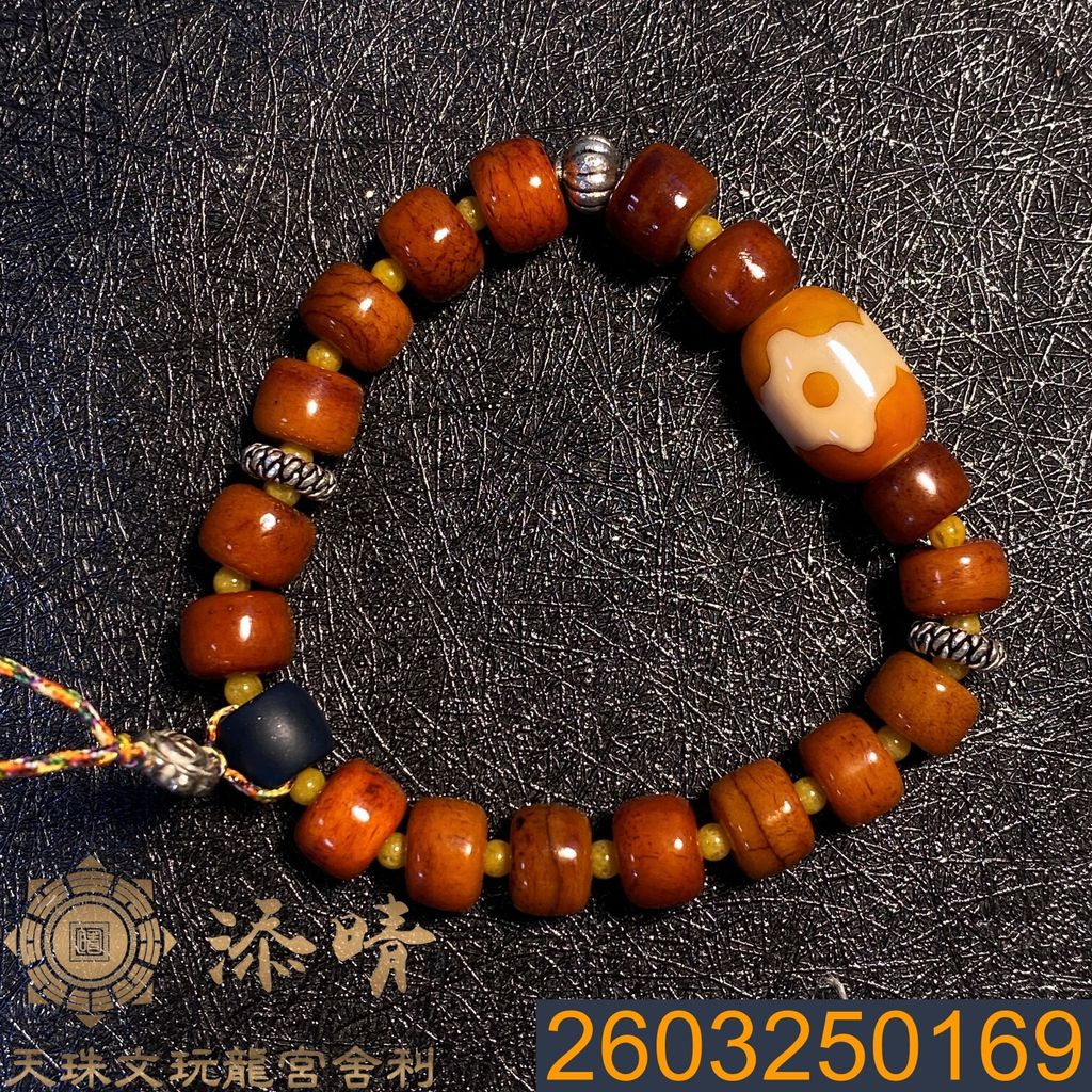 2603250169