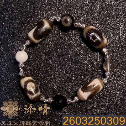 2603250309