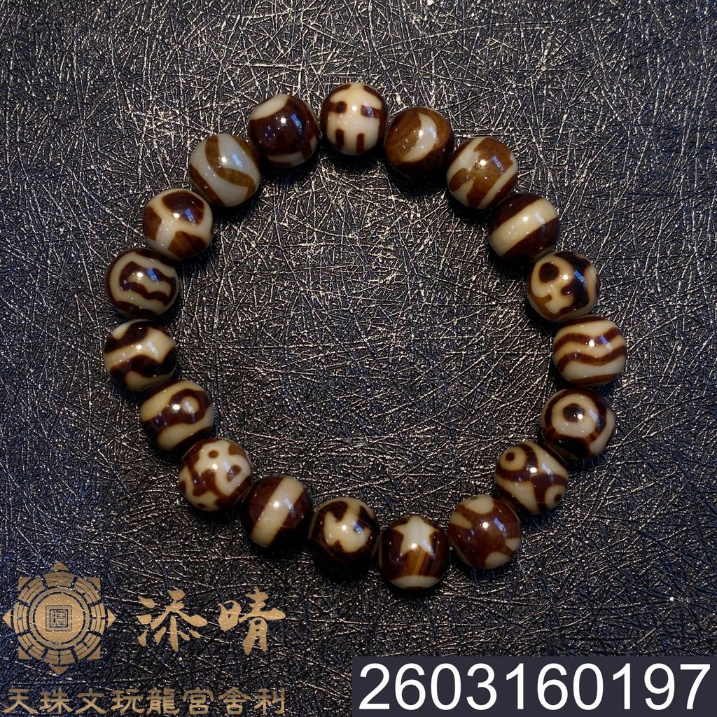 2603160197