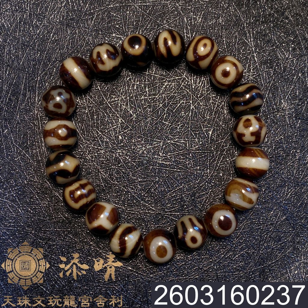 2603160237