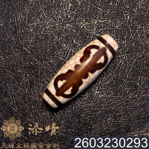 2603230293