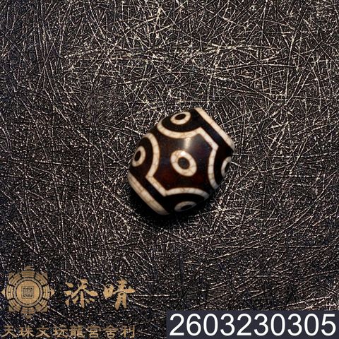 2603230305
