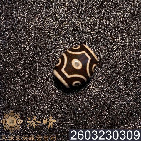 2603230309