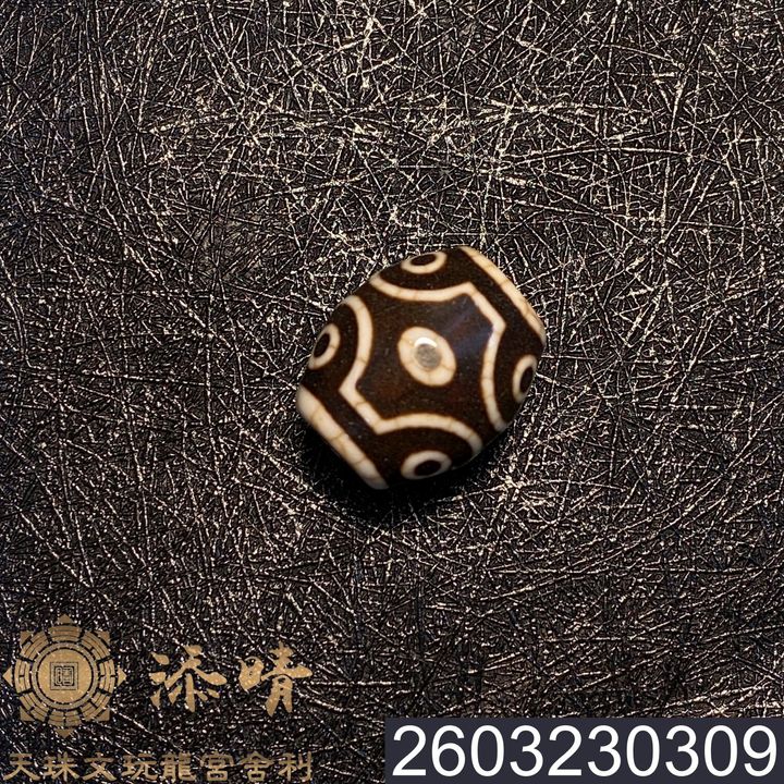 2603230309