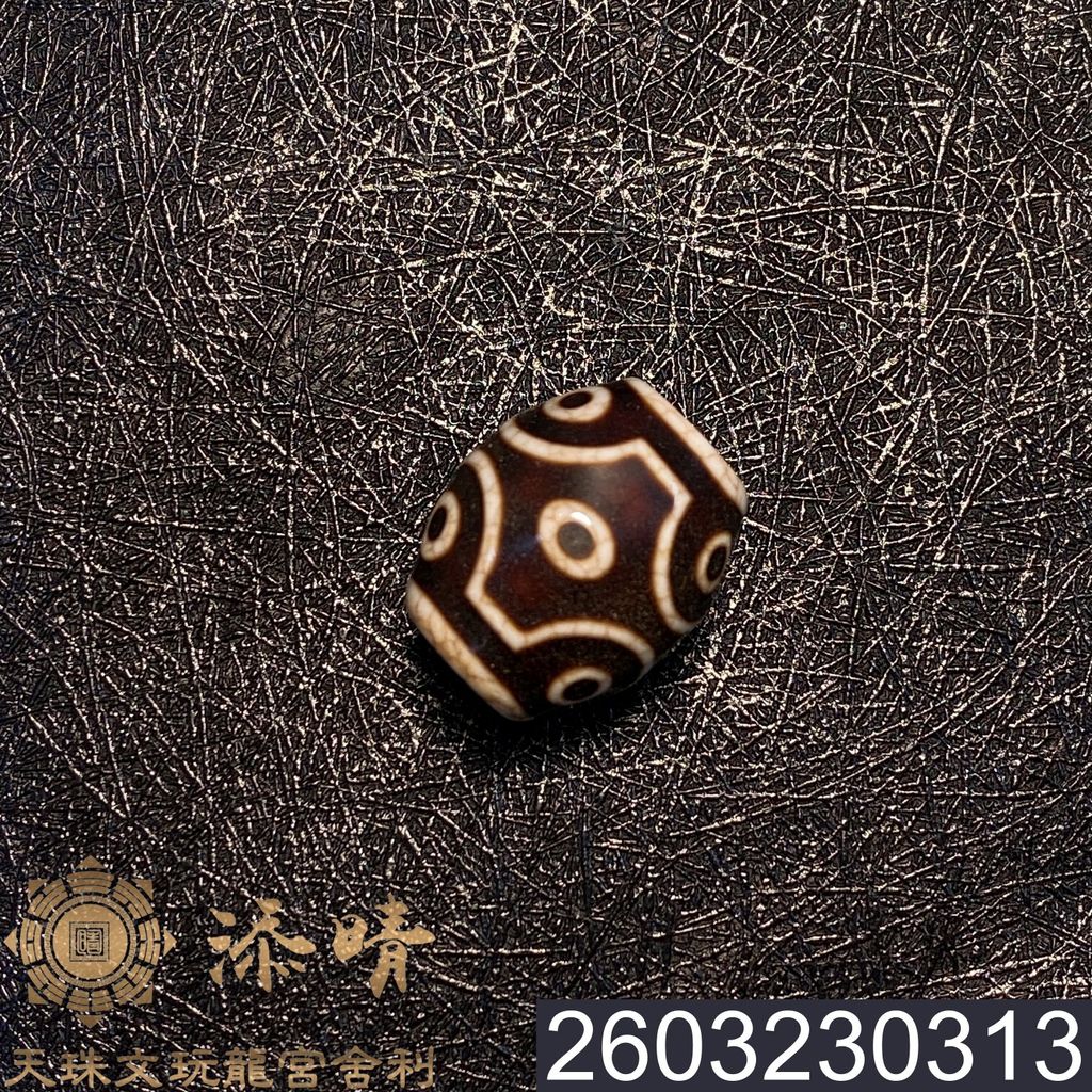 2603230313