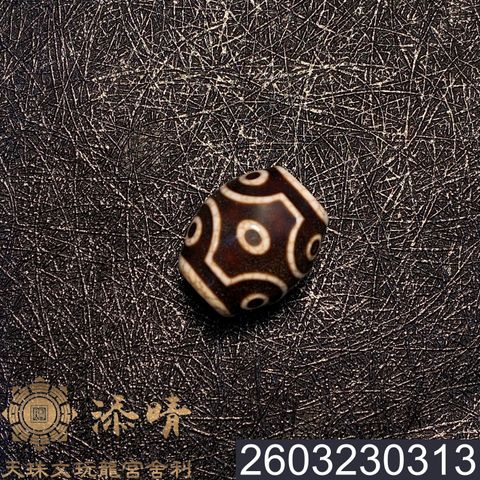 2603230313
