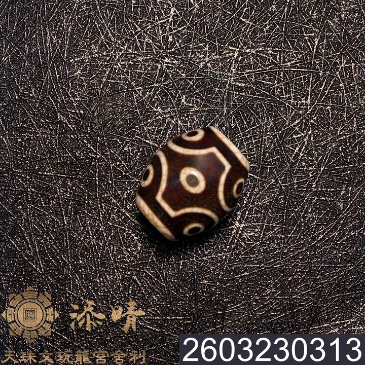2603230313