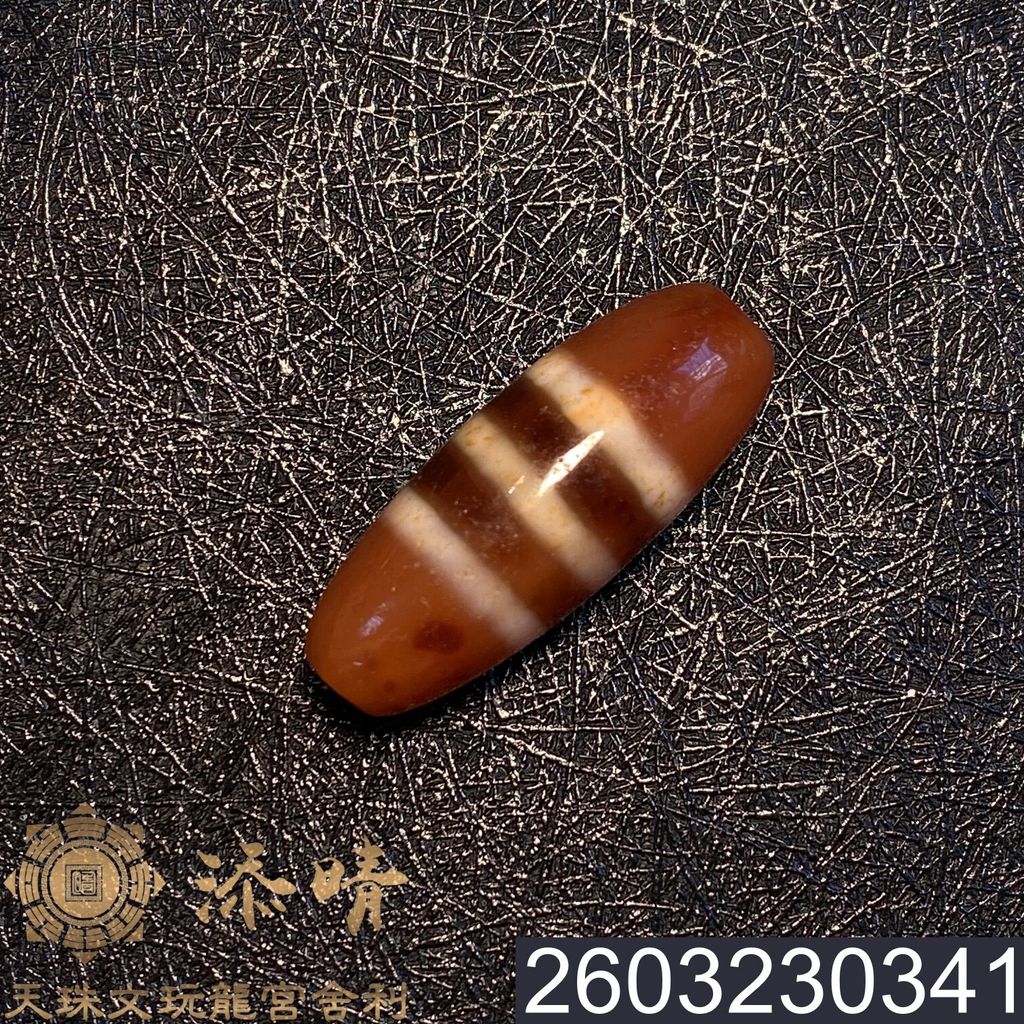 2603230341
